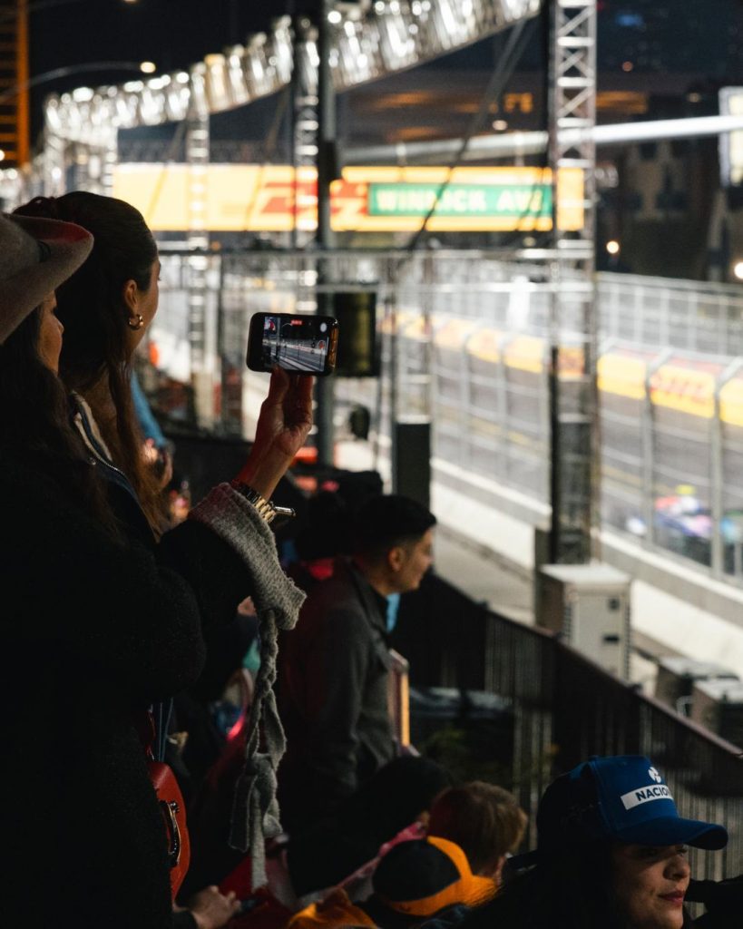 Flamingo Zone Viewing Area